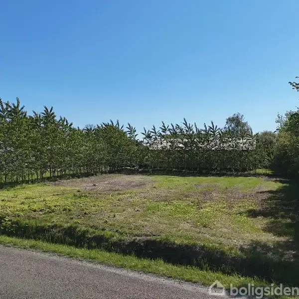 Tomt med kort græs omgivet af unge træer står i sollys. Beliggende langs en landevej med træer på begge sider under en klar, blå himmel. Skilt ved vejkanten.