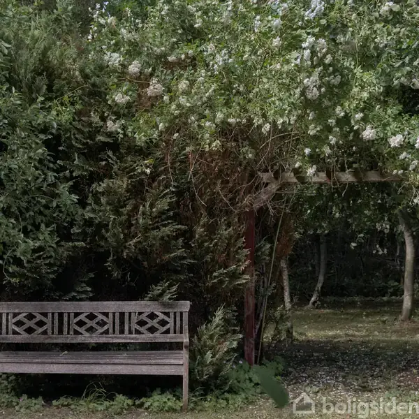 Træbænk står stille i have omgivet af frodige grønne træer og en blomstrende pergola i baggrunden.