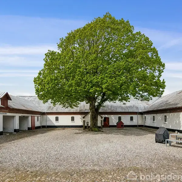 Et stort træ står i midten af en gårdsplads omgivet af hvidmalede bygninger. De grå tage omkranser pladsen, som er delvist belagt med grus og brosten.