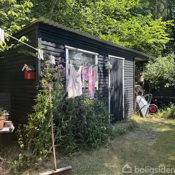 Et sort træskur med en dør og et vindue. Tøj hænger til tørre på en snor foran skuret, omgivet af frodig vegetation og en trillebør i baggrunden.