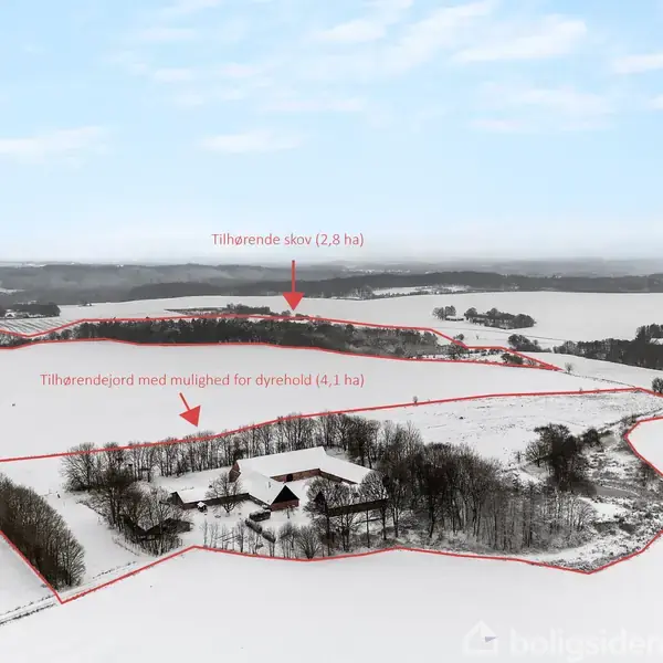 Gård omgivet af sneklædte marker, markeret med røde linjer, med teksten "Tilhørende skov (2,8 ha)" og "Tilhørende jord med mulighed for dyrehold (4,1 ha)" i baggrunden.