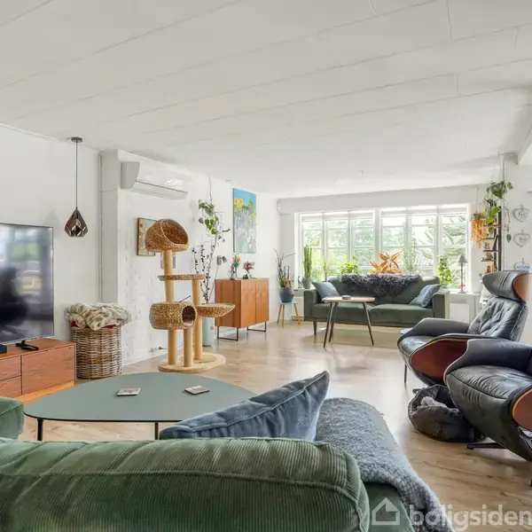 Stue med grøn sofa og lænestole foran et stort tv. Katte træ står ved siden af tv'et. Store vinduer giver lys til rummet fyldt med planter og moderne møbler.