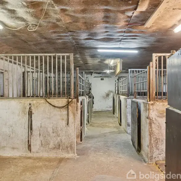 Staldbokse er tomme i en lys staldgang med betonvægge og -gulv, oplyst af loftslamper. Staldudstyr hænger på væggene.