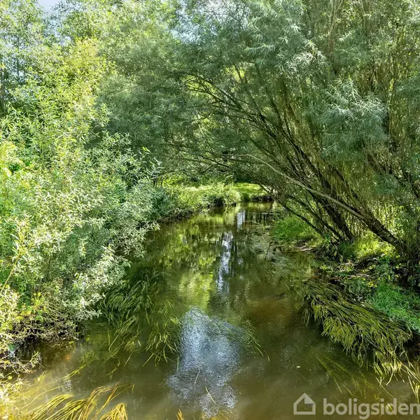 Et stille vandløb flyder gennem en frodig skov med tætte, grønne træer og buske, der bøjer sig over vandet og spejler sig i overfladen.