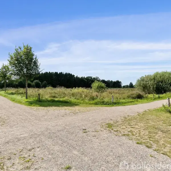 En grusvej deler sig i to retninger. Træer står langs vejene, omgivet af græs og buskads på en solrig dag under en blå himmel.
