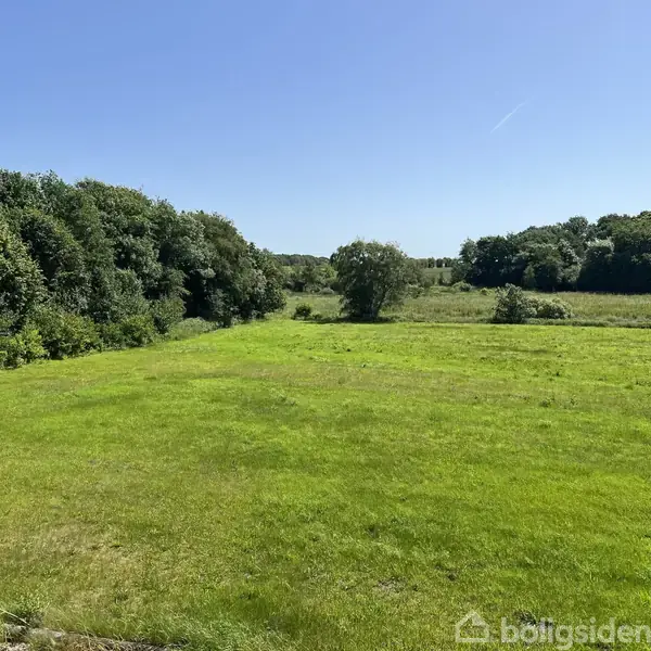 En stor grøn græsplæne strækker sig ud i landskabet omgivet af tætte træer og skov. Himlen er klar og blå, hvilket skaber en fredelig atmosfære.