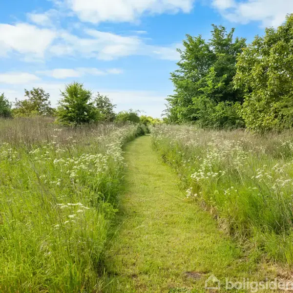 En græsvej snor sig gennem en eng med vilde blomster på begge sider. Træer og buske omkranser stien under en klar blå himmel med skyer.