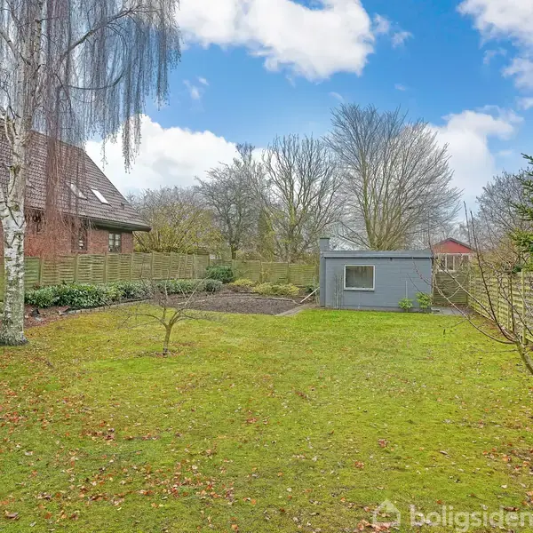 En græsplæne med spredte træer står stille i en have. I baggrunden ses et skur og huset ved siden af et hegn, med en klar blå himmel og spredte skyer.