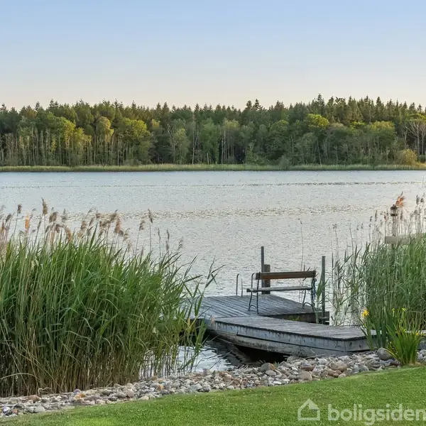 En træbro strækker sig ud i en sø omkranset af siv og græs. I baggrunden ses en tæt skov bag stille, spejlblankt vand.