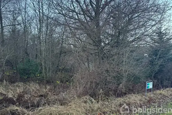 Helårsgrund på Kollerup Klitvej 133, 9690 Fjerritslev