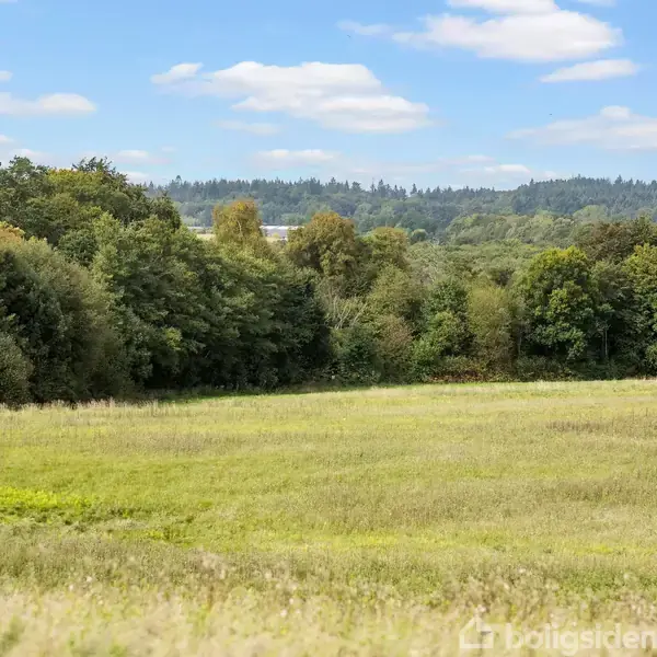 En grøn eng strækker sig ud, omkranset af en tæt skov under en blå himmel med lette skyer. Et kuperet skovområde ses i baggrunden.