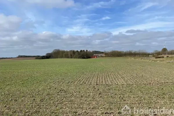 Planteavlsgård/-jord på Gamstvej 34, 6600 Vejen