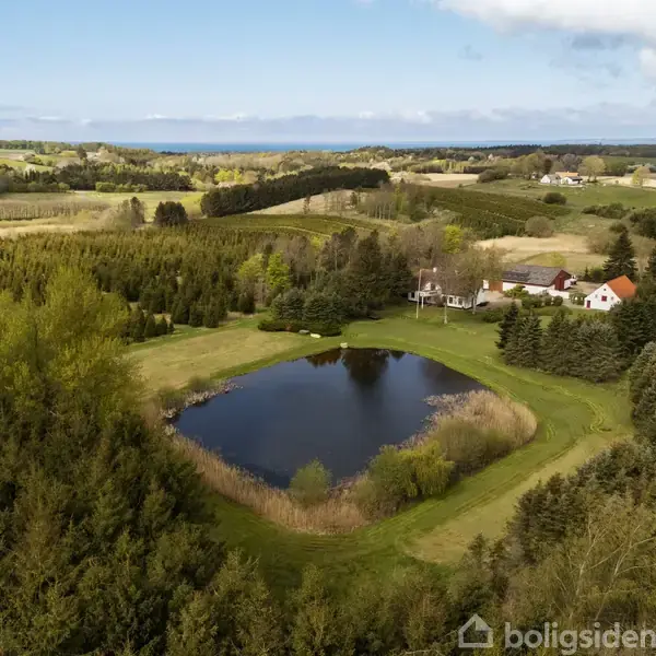 En lille sø ligger stille omgivet af grønne træer og marker. Et rødt taghus ses i baggrunden, mens horisonten viser en blå himmel og havudsigt.
