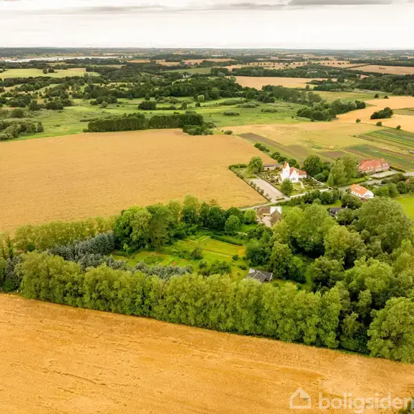 Et lille hus ligger centralt omgivet af frodig have og skovområder. Græs, træer og marker skaber en harmonisk og naturskøn atmosfære i landskabet.