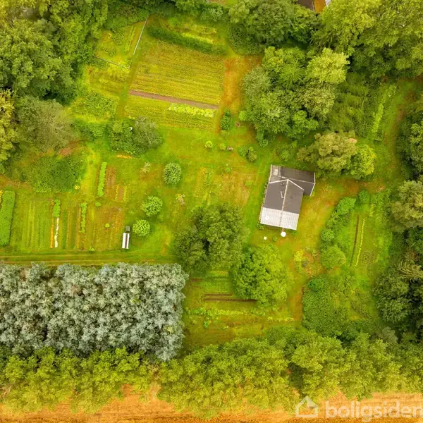 En grøn skovklædt område ligger i midten af gyldne marker. En landvej strækker sig langs skovens kant med nogle få huse spredt i nærheden, omgivet af åbent land.