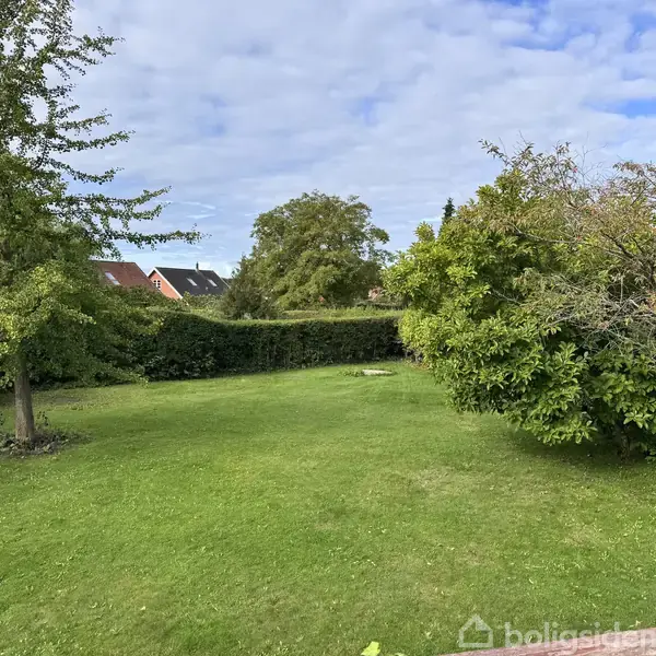 Græsplæne omgivet af tætte hække og spredte træer, skaber en rummelig have. Baggrunden viser hustage under en delvist overskyet himmel.