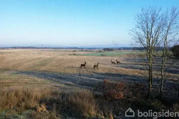Helårsgrund på Løkkeshave 3, 6740 Bramming