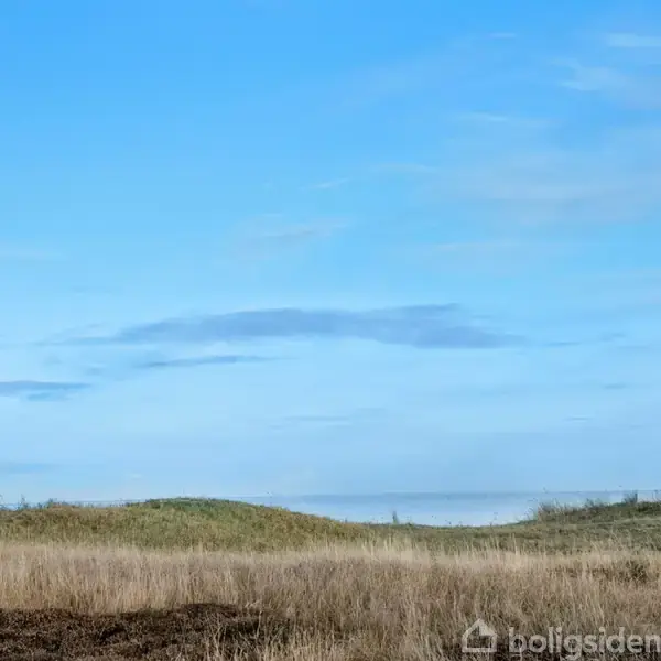 Græsbevokset klitlandskab strækker sig under en klar blå himmel med spredte skyer, omgivet af lav vegetation og horisonten i det fjerne.