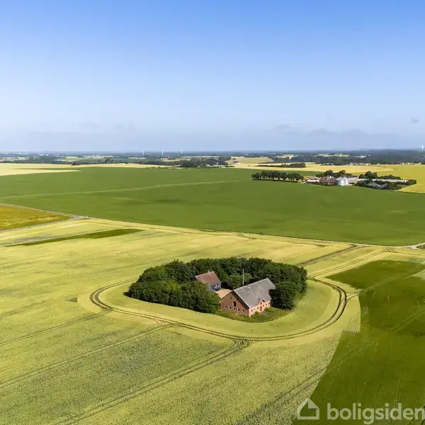 Et rødt gårdkompleks ligger omkranset af grønne træer midt på en stor, flad mark. Gården er omgivet af marker i forskellige nuancer af grønt og gult under en blå himmel.