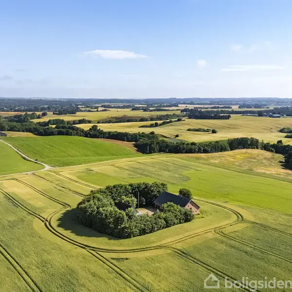 Et hus omkranset af træer ligger midt i en stor, grøn mark. Landskabet er fladt og strækker sig langt med blå himmel i baggrunden. Ingen tekst er til stede.