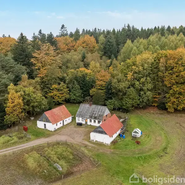 Tre hvide bygninger med røde tage ligger ved skovkant, omgivet af farverige efterårstræer. En grusvej forbinder bygningerne i en landlig, idyllisk setting.