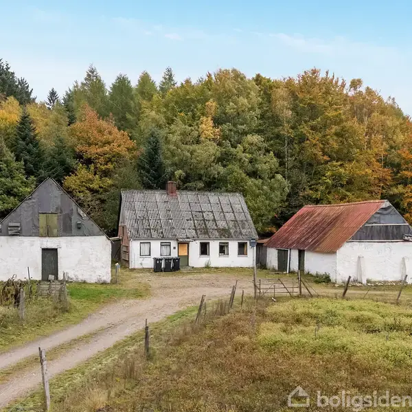 Tre gamle hvidkalkede huse med slidte tage står i en grusvejssammenhæng omgivet af græs og et baggrundstæppe af efterårsfarvede træer. Ingen tekst.
