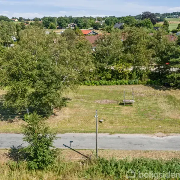 En græsplæne med store træer står stille i et boligområde. Omkring plænen ses hække og en vej. I baggrunden er der flere huse og frodigt grønt landskab.