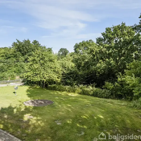Græsplæne omkranset af høje, tætte træer i en have med en trampolin nedfældet i jorden. Til venstre ses en flisebelagt terrasse og en del af et tag.