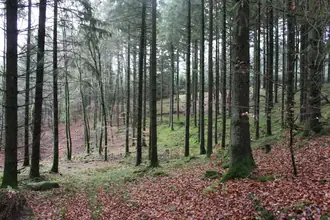 Villa på Pindbakvej 7, 9330 Dronninglund