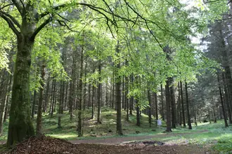 Villa på Pindbakvej 7, 9330 Dronninglund