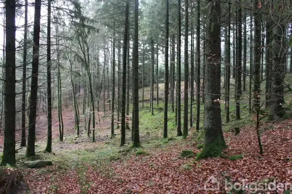 Skovejendom på Pindbakvej 7, 9330 Dronninglund