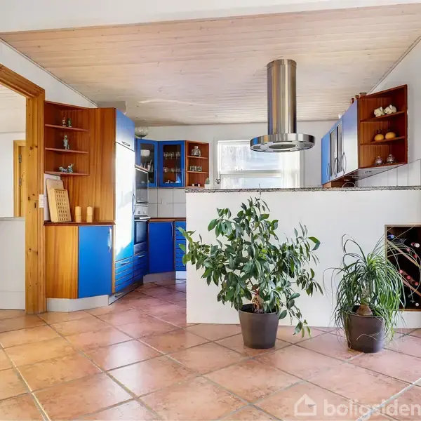 Et moderne køkken med blå skabe. En emhætte hænger over komfuret. To grønne planter står i potter foran en delvis hvid væg. Store glasdøre giver dagslys til rummet.