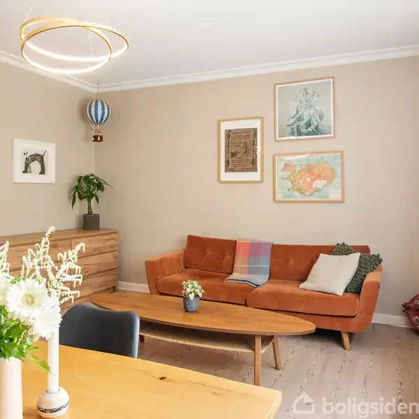 En stue med en orange sofa, dekoreret med puder og et tæppe. Sofaen står ved siden af et lavt træbord med en plante. Rummet er lyst med kunst på væggen.