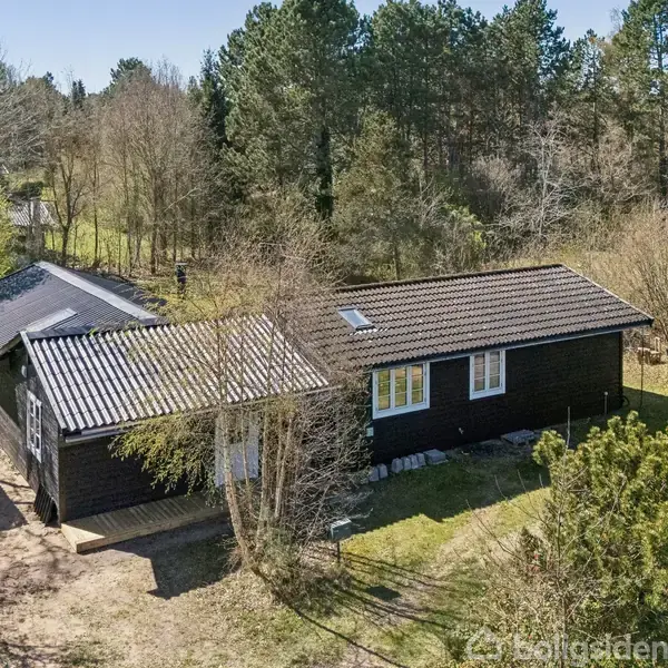 Sort træhus med tagvinduer står stille omgivet af grønne træer i en skovklædt have. Skyggefuld og isoleret, det skaber en følelse af ro og privatliv.