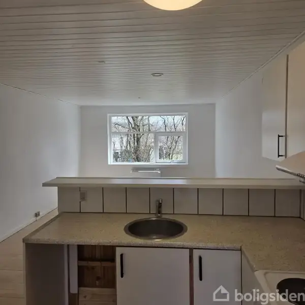 Køkkenbordplade med indbygget vask under et vindue. Rummet har hvide vægge og loft, og udenfor vinduet ses træer i en have.