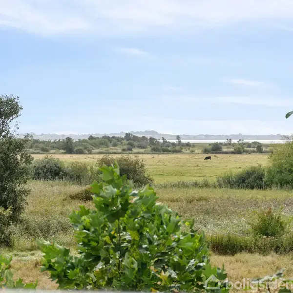 En stor grøn eng strækker sig i det fjerne under en blå himmel, med træer i forgrunden og spredt vegetation. En ko græsser roligt i baggrunden.
