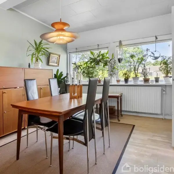 En spisebord med seks sorte stole står i en spisestue, omgivet af grønne planter på vindueskarmen; lyset strømmer ind gennem store vinduer. En maleri hænger på væggen.