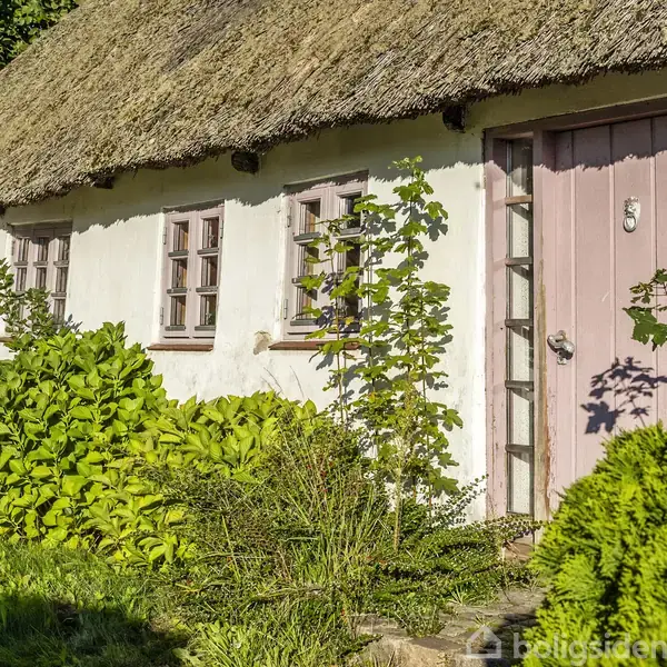 Et stråtækt hus med rosa dør står i en frodig have. Buske og træer omringer huset, som har små vinduer og ligger i sollys.
