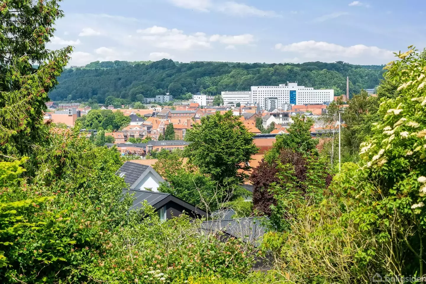 Helårsgrund på Sdr Vang 16, 7100 Vejle