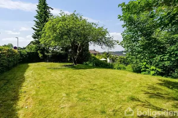 Et enkelt træ står midt på en velplejet græsplæne i en have omgivet af tætte buske og træer under en klar blå himmel.