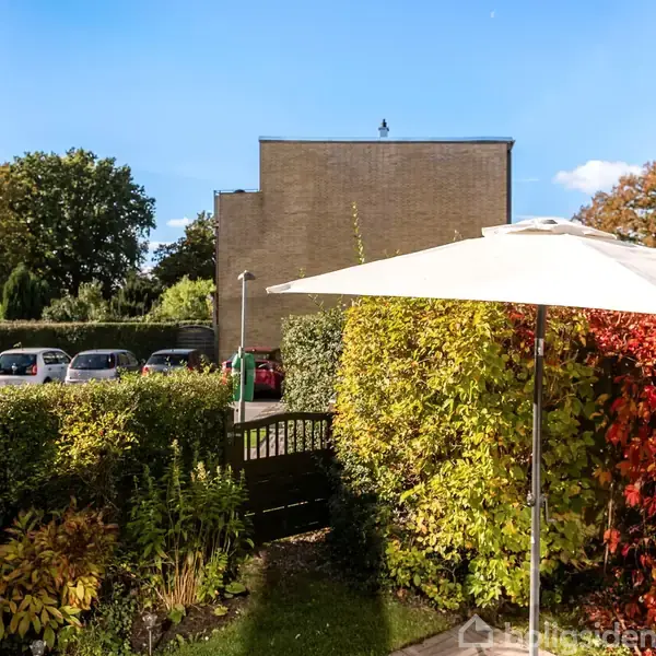 En stor hvid parasol står i en lille have med grønne og røde buske, set fra et åbent vindue. I baggrunden ses parkerede biler og en murstensbygning.
