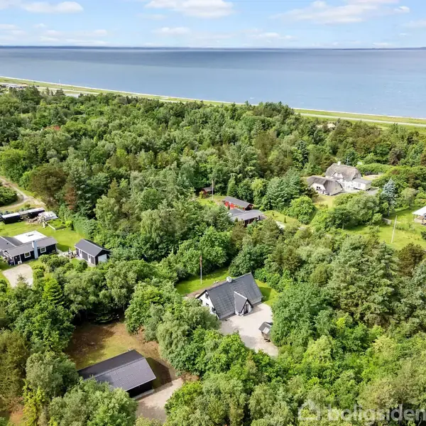 Huse omgivet af frodig skov ses fra luften, med en kystlinje og hav i baggrunden, der skaber en fredelig, naturskøn atmosfære.