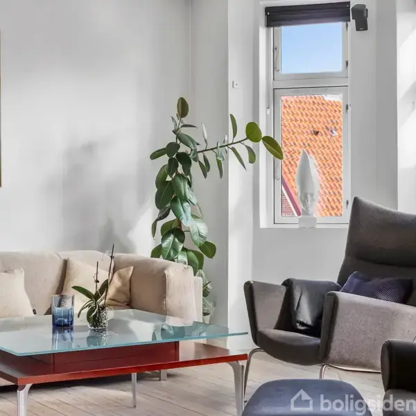 En lys stue med en sofa, der har puder, står ved siden af et glasbord. En stor grøn plante til højre, og en lænestol med udsigt til vinduer og røde tegltage.