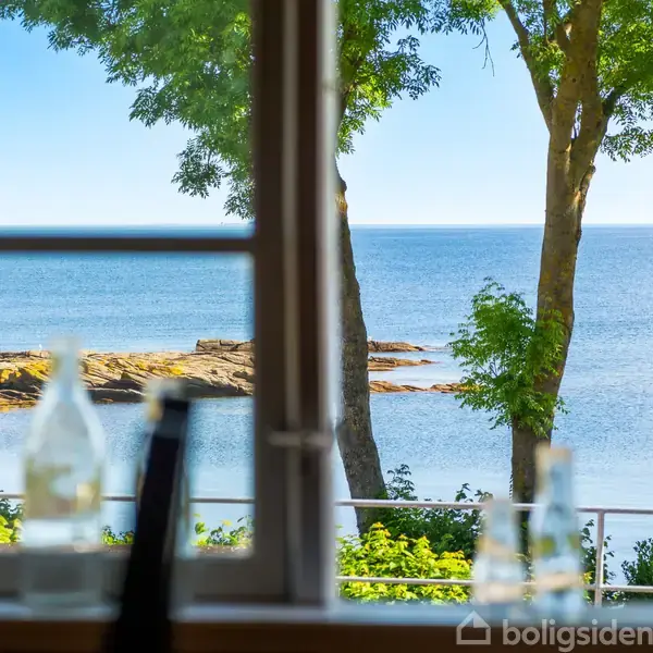Et vindue viser en havudsigt med træer og klipper i baggrunden. En solrig dag fremhæver det blå hav, mens grønne træer indrammer scenen. Flasker står på en bordkant.