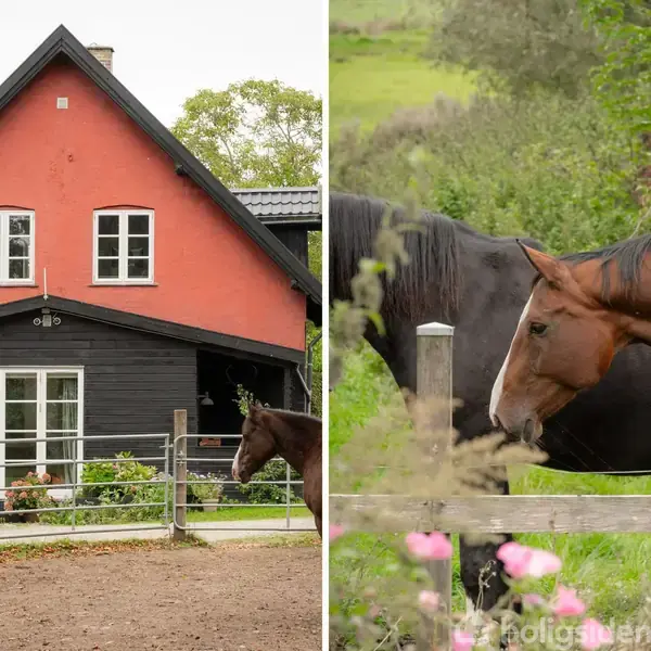 En rød og sort murstensbygning står i baggrunden. Foran bygningen står en hest på en gårdsplads omgivet af et træhegn. Skoven omgiver stedet.