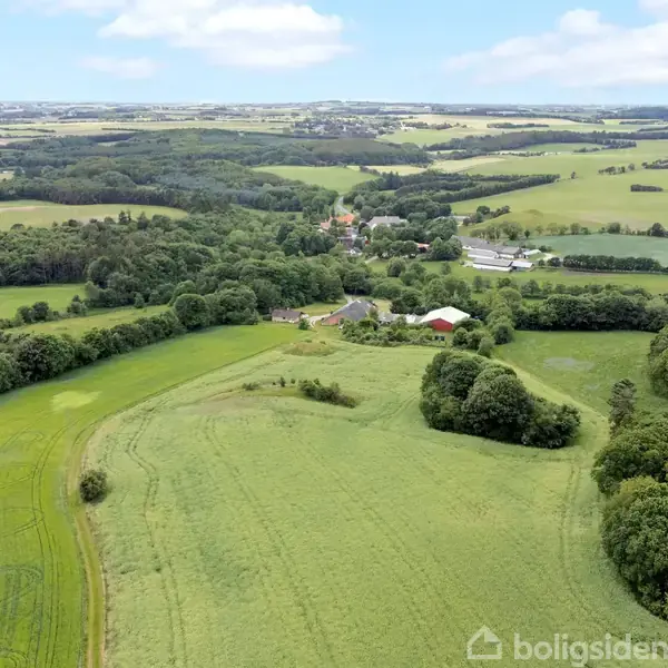 Landskab med grønne marker omkranset af skov. En klynge bygninger ses midt i billedet. Bjerge og skove i baggrunden under en skyfri himmel.