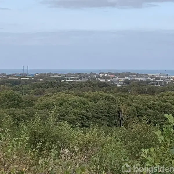 Landskab viser grønne træer i forgrunden, med en by i midten og havet i baggrunden under en overskyet himmel.