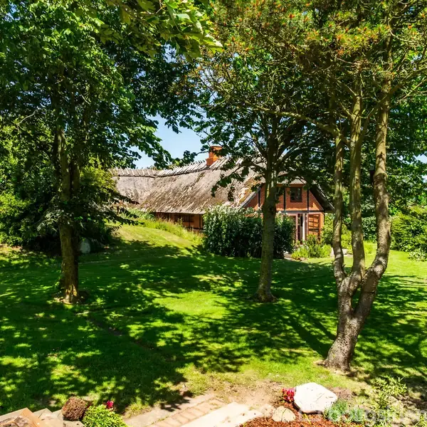 Stråtækt hus står stille omgivet af frodig have med store træer. Sollys filtrerer gennem løvet, hvilket skaber mønstre på den grønne græsplæne.