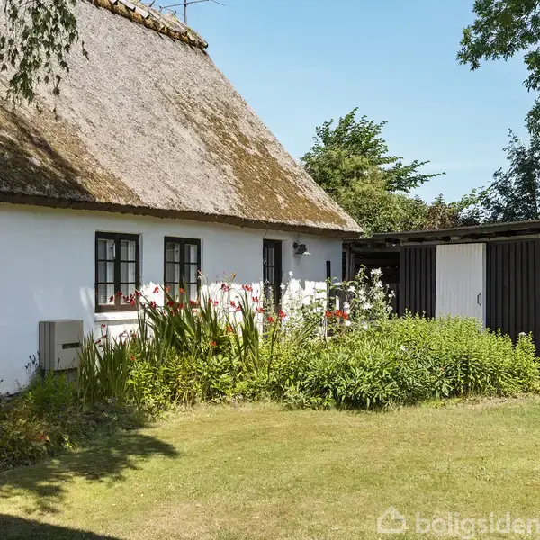 Stråtækt hvidt hus med sorte vinduesrammer, omgivet af frodig have med grønne planter og blomster. Til højre ses en sort og hvid udhusbygning. Klar blå himmel i baggrunden.
