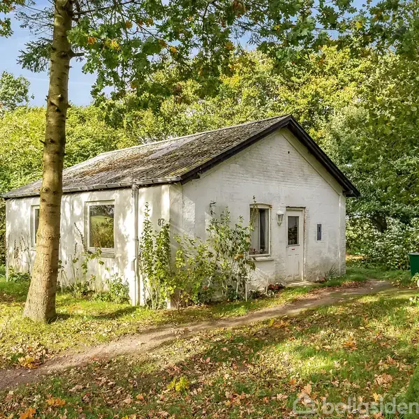 En lille, hvidgrå bygning står stille omgivet af en frodig, grøn have med træer. Sollys filtrerer gennem bladene, der skaber skygger på jorden.